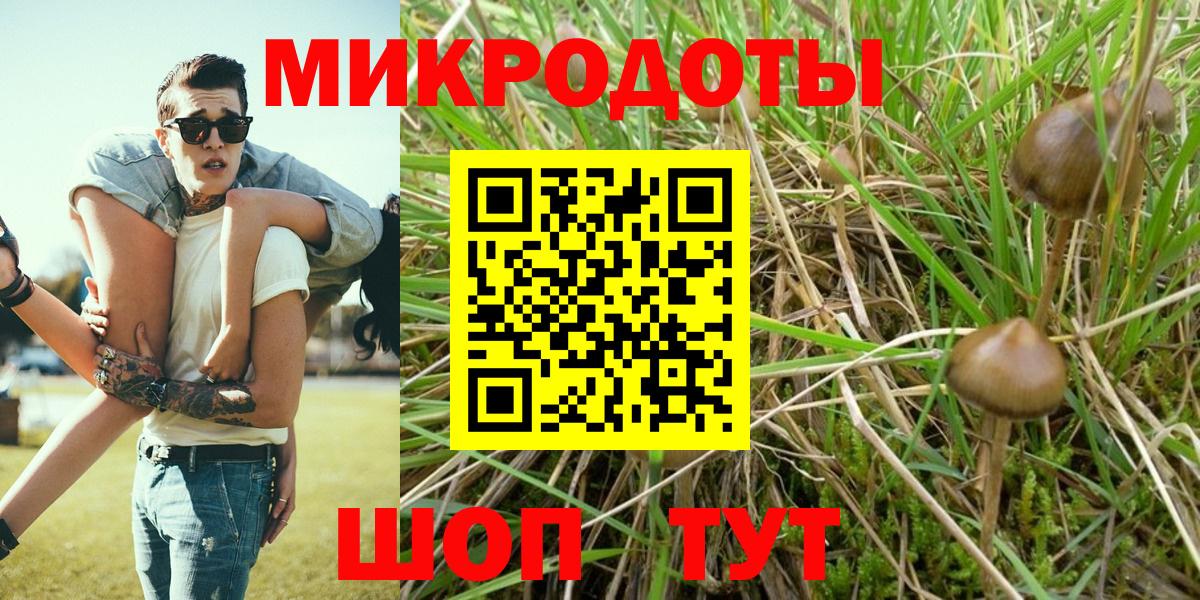 Дмитров  Псилоцибиновые грибы Magic Shrooms  Вход с VPN  Псилоцибиновые грибы мицелий 